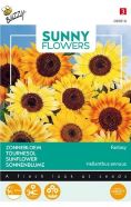 Sunny Flowers Sunflower Helianthus Fantasy Seed